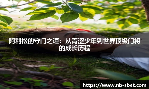 sbet实博